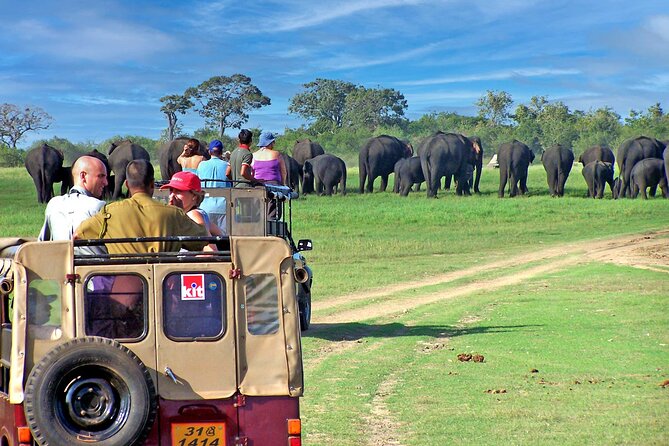 Minneriya National Park